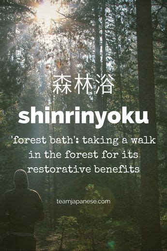 12 Beautiful And Untranslatable Japanese Words Japanese Words