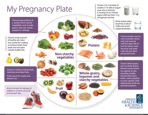 ‘my Pregnancy Plate A Blueprint For Healthy Eating During Pregnancy