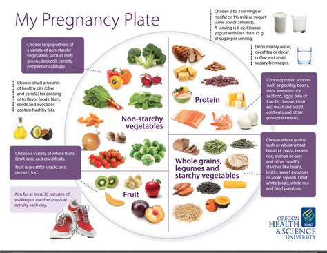 Veggies can be enjoyed raw, roasted, or steamed. 'My Pregnancy Plate': a blueprint for healthy eating ...