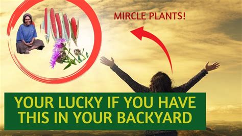 Miracle Medicinal Plant Around The World Youtube