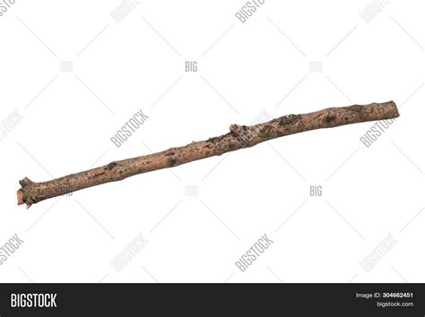 Single Dry Tree Branch Image And Photo Free Trial Bigstock