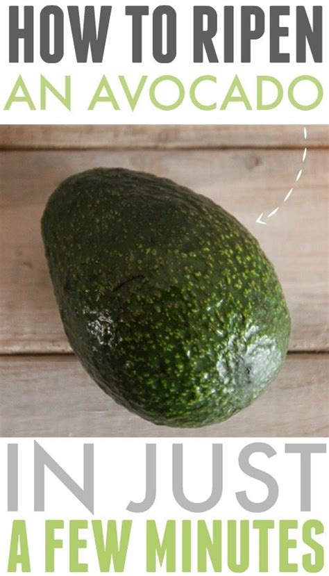How To Quickly Ripen An Avocado The Creek Line House
