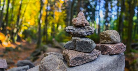 Gray Pile Of Stones Near Trees · Free Stock Photo