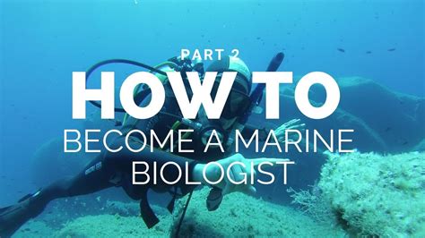 How To Become A Marine Biologist Part 2 Youtube