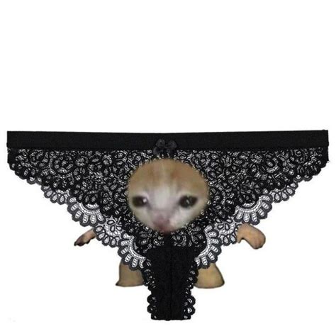 Create Meme Lingerie Linen Underwear Ladies Pictures Meme