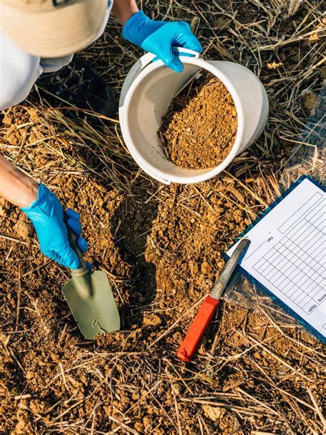 Soil Testing What Does A Soil Test Show Gardening Know How