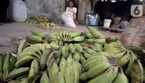 Referensi harga buah pisang di pasaran dan di swalayan hari ini, harga pisang ambon per sisir saat ini, manfaat buah pisang bagi kesehatan. FOTO: Intip Dapur Pengolahan Pisang Menjadi Keripik ...