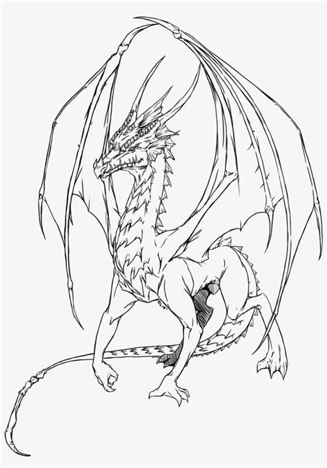 Fire Dragon By Little Imp Rin D42d75s Drawings Of Fire Dragons