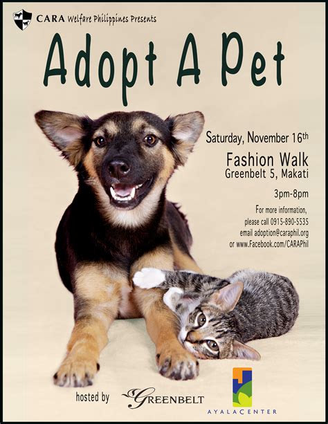 Common sources for adoptable pets are animal shelters and rescue groups. CARA Welfare Philippines » Blog Archive » Adopt a Pet at ...