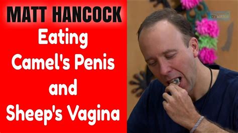 matt hancock eat sheep s vagina and camel s penis youtube