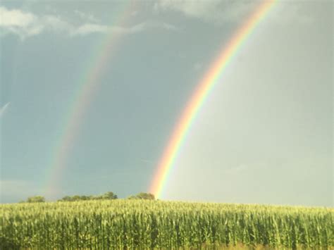 Double Rainbows Free Stock Photo - Public Domain Pictures