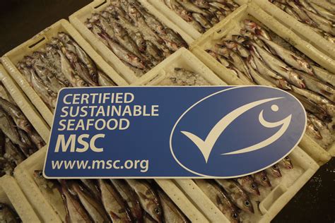 Shopping Sustainable Seafood Product Finder — Msc Sustainable