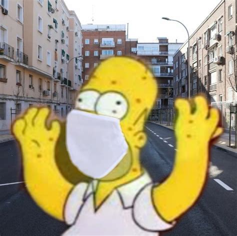 Memes Simpsons