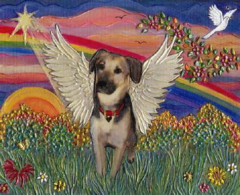 Funny Animals An Angel Dogs