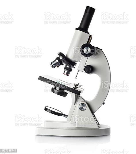 Microscope Stock Photo Download Image Now Istock