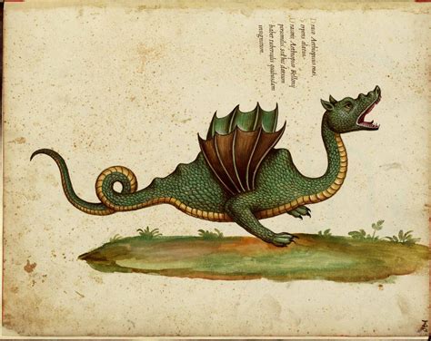 C‘est Formidable In Praise Of Cultural Dragons The Imaginative