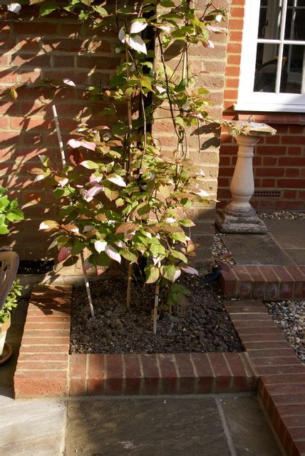 Edwardian Courtyard Garden Traditional Garden Hertfordshire By