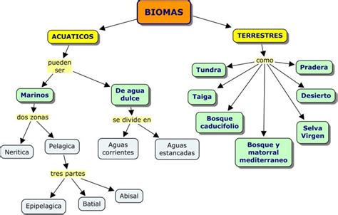 Cuadros Comparativos Tipos De Biomas Qu Son Cuadro Comparativo