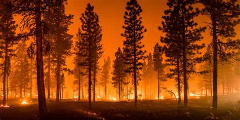 Californias Deadly Wildfires Just Broke All Time Record For Most Acres