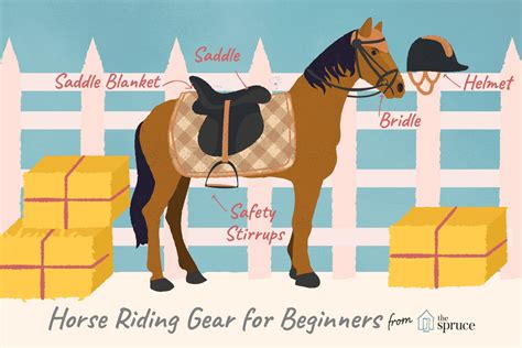 Basic Equipment You Need For Your First Horse