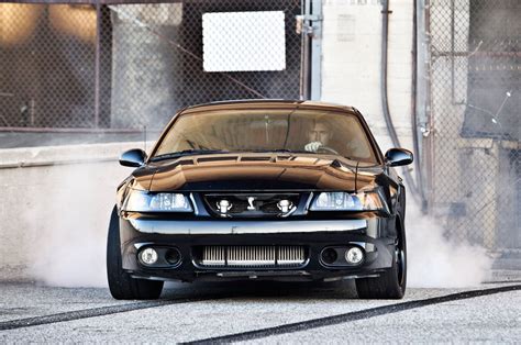 🔥 32 2003 Ford Mustang Cobra Terminator Wallpapers Wallpapersafari