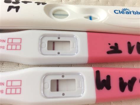 Weniger sicher als ein schwangerschaftstest beim frauenarzt. 56 Best Images Presense Schwangerschaftstest Ab Wann ...