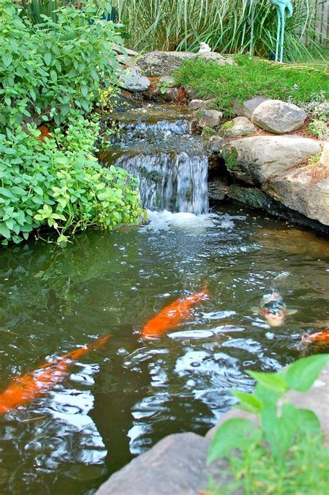 39 Best Images About Koi Ponds On Pinterest