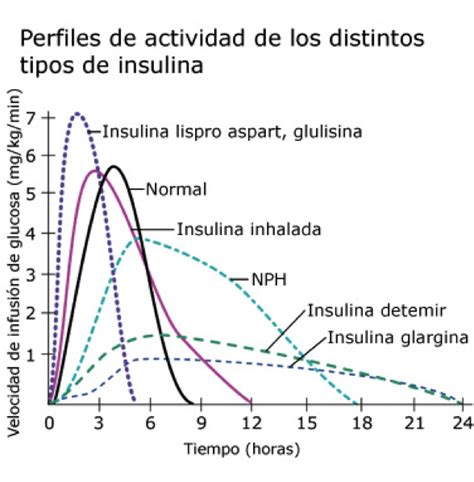 5 La Insulina Asociación De Diabéticos De Ferrolterra