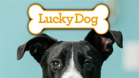 Lucky Dog Reality Tv Tv Passport