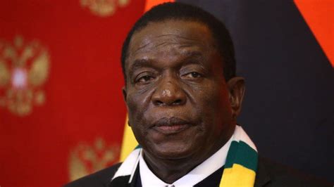 Zimbabwes Mnangagwa Vows To Flush Out Opponents Bbc News