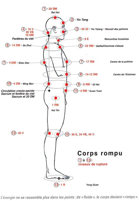 schéma 2 body massage acupuncture body