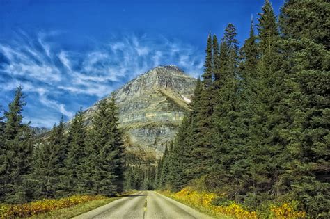 Free Images Landscape Tree Nature Wilderness Sky Road Meadow