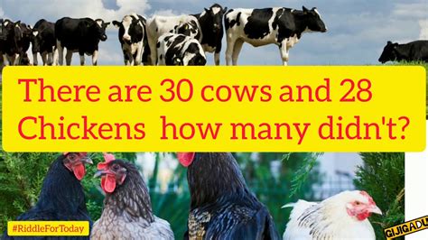 30 Cows And 28 Chickens30 Cows And 28 Chickens How Manyriddles Like