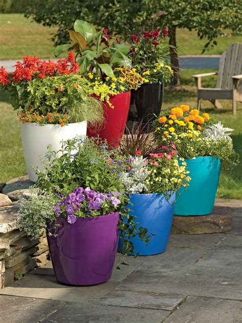 10 Easy And Cheap Colorful Container Garden Ideas You Can Go Wrong