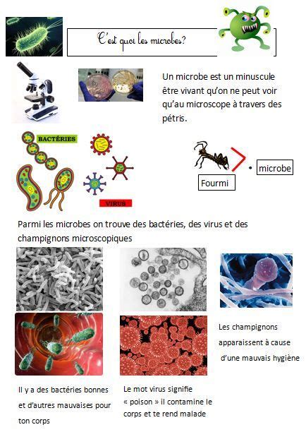 Les Microbes Ce1 Hygiène Les Microbes Ce1