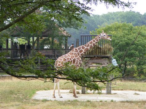 Cape May Zoo Many People Dont Know That Cape May Has A Zoo Its Free