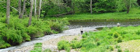 Fly Fishing Report On The Elk River In West Virginia The Perfect Fly