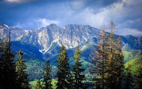 Nature Landscape Mountain Forest Carpathians Trees