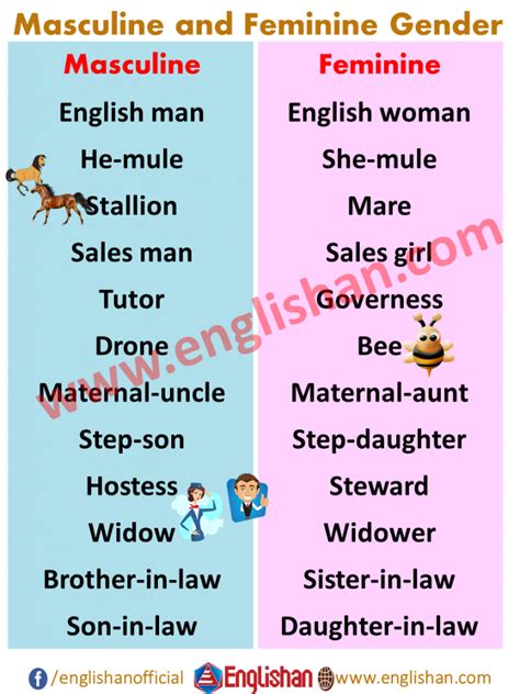 Examples Of Masculine And Feminine Gender List Englishan In Gender Chart How To