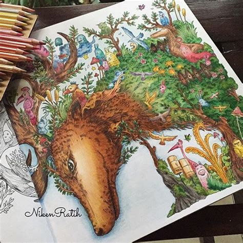 images  animorphia coloring book completed pages inspiration  pinterest book