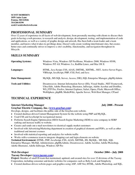 13 Skills Summary For Resume Example That You Should Know