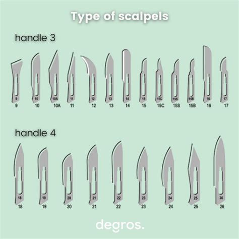 Blog Scalpels How Do You Use Scalpel Blades And What Types Are There