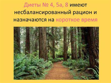 Лечебное питание - презентация онлайн Картинка - Лечебное питание - презентация онлайн