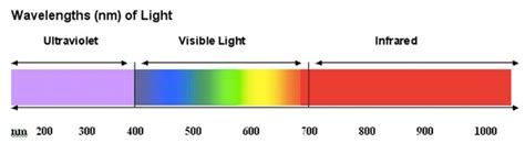 5 Best Wavelengths For Red Light Therapy A Science Backed Overview 2023