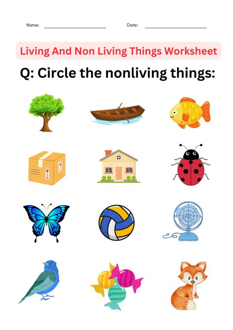 Science Living And Non Living Things Worksheet For Grade 1 2 3 4
