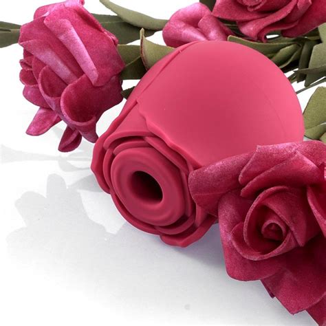 Everything You Need To Know About The Rose Sex Toy Your Pleasure Toys
