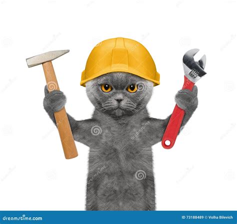 Herramientas De Tenencia Del Constructor Del Gato En Sus Patas Imagen