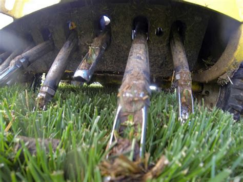 Air Out Your Lawn With Lawn Aeration And Overseeding Bluegrass Lawncare
