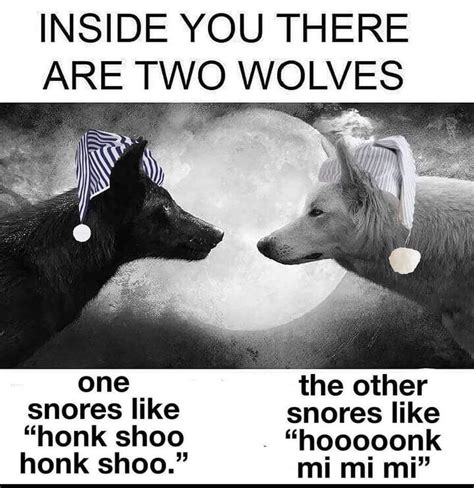 Honk Shoo Wolves Honk Shoo Honk Mimimi Know Your Meme