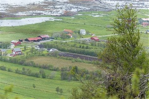 Whales And Seabirds Of Norways Lofoten Islands Naturetrek Wildlife